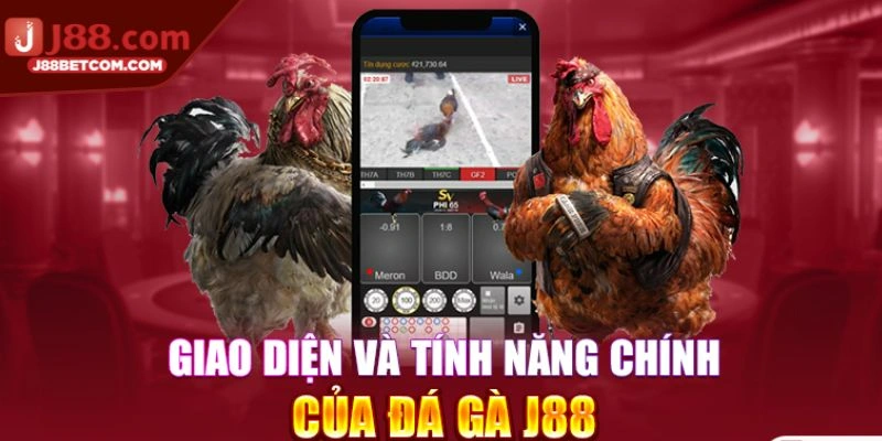 da-ga-j88.com-giao-dien-va-tinh-nang